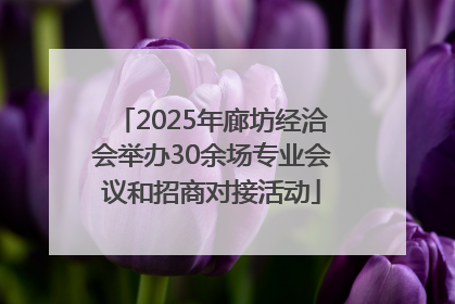 2025年廊坊经洽会举办30余场专业会议和招商对接活动