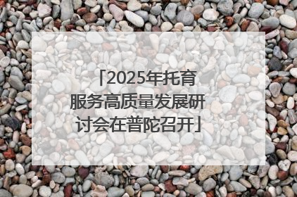 2025年托育服务高质量发展研讨会在普陀召开