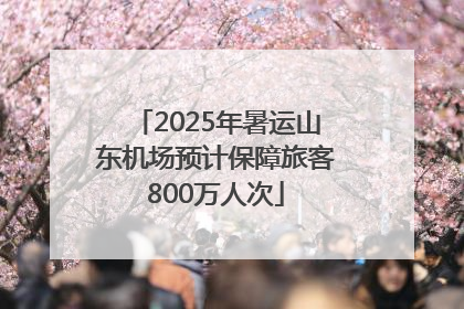 2025年暑运山东机场预计保障旅客800万人次