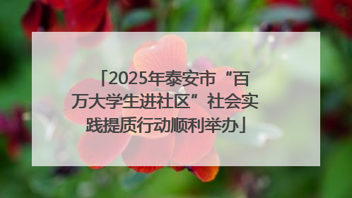 2025年泰安市“百万大学生进社区”社会实践提质行动顺利举办