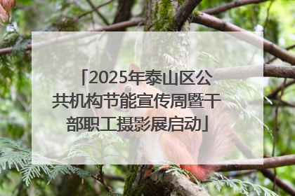 2025年泰山区公共机构节能宣传周暨干部职工摄影展启动
