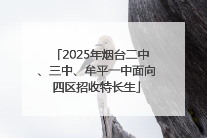 2025年烟台二中、三中、牟平一中面向四区招收特长生