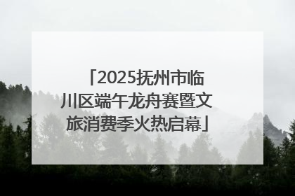 2025抚州市临川区端午龙舟赛暨文旅消费季火热启幕