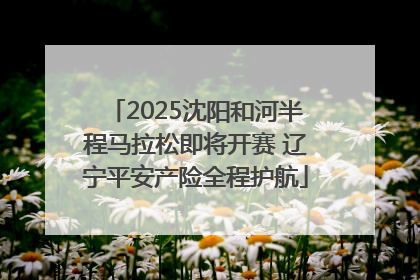 2025沈阳和河半程马拉松即将开赛 辽宁平安产险全程护航