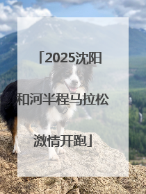 2025沈阳和河半程马拉松激情开跑