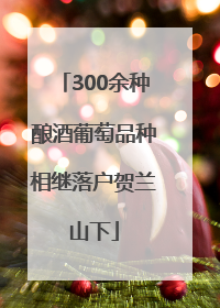 300余种酿酒葡萄品种相继落户贺兰山下