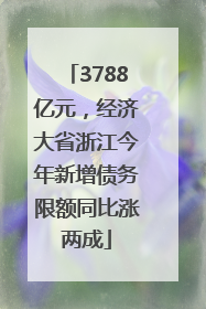3788亿元，经济大省浙江今年新增债务限额同比涨两成