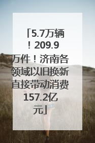 5.7万辆！209.9万件！济南各领域以旧换新直接带动消费157.2亿元