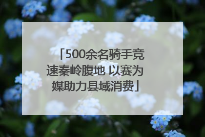 500余名骑手竞速秦岭腹地 以赛为媒助力县域消费
