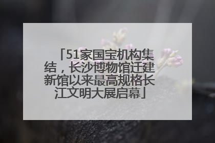 51家国宝机构集结，长沙博物馆迁建新馆以来最高规格长江文明大展启幕