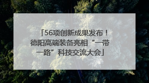56项创新成果发布！德阳高端装备亮相“一带一路”科技交流大会