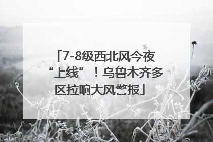 7-8级西北风今夜“上线”！乌鲁木齐多区拉响大风警报