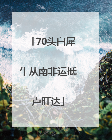 70头白犀牛从南非运抵卢旺达