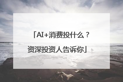 AI+消费投什么？资深投资人告诉你