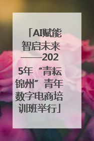 AI赋能 智启未来——2025年“青耘锦州”青年数字电商培训班举行