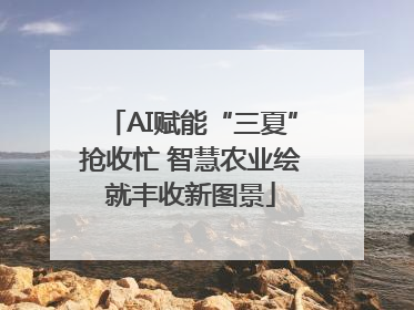 AI赋能“三夏”抢收忙 智慧农业绘就丰收新图景