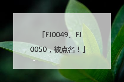 FJ0049、FJ0050，被点名！