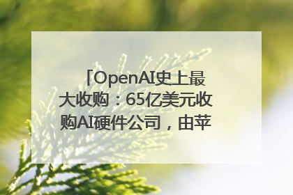 OpenAI史上最大收购：65亿美元收购AI硬件公司，由苹果前设计总监创办