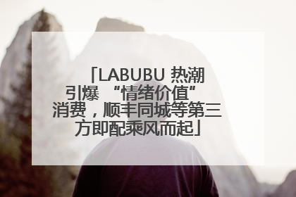 LABUBU 热潮引爆 “情绪价值” 消费，顺丰同城等第三方即配乘风而起