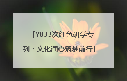 Y833次红色研学专列：文化润心筑梦前行